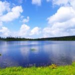 おすすめのキャンプ場って！？